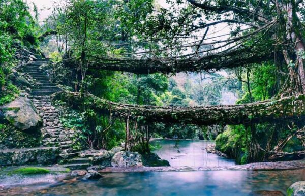 2 STATES (ASSAM-MEGHALAYA) 6 NIGHTS 7 DAYS - Image 2