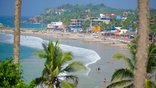 Cochin - Munnar – Thekkady – Alleppey - Kovalam (07 Nights / 08 Days) - Image 4